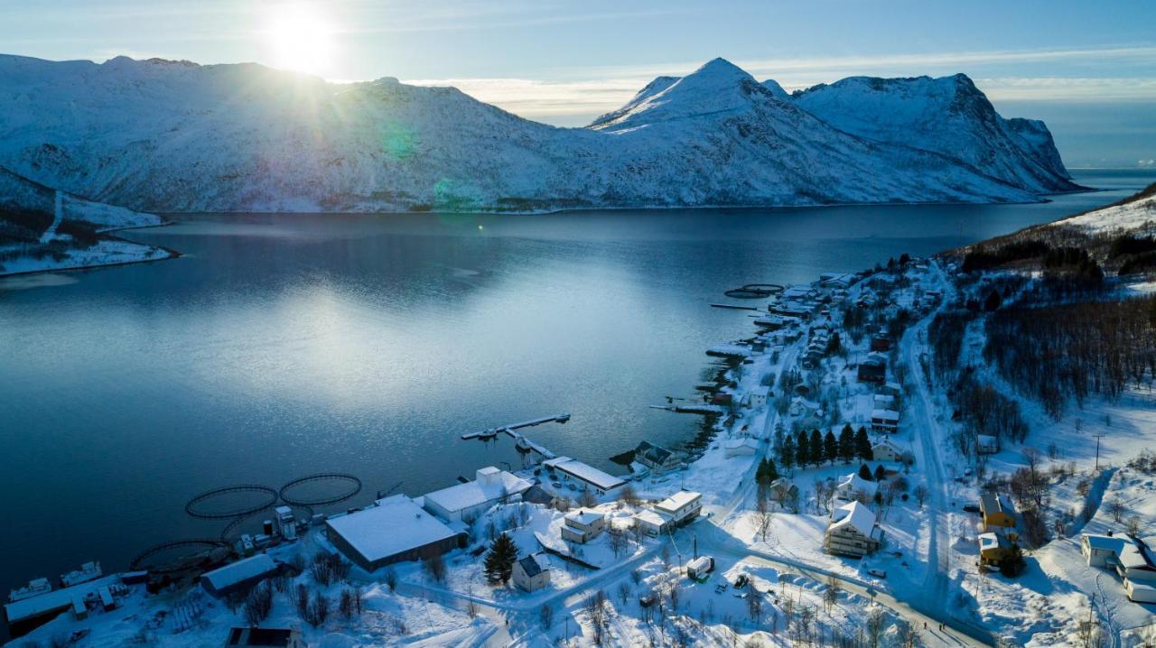 فندق Torsken Brygge المظهر الخارجي الصورة